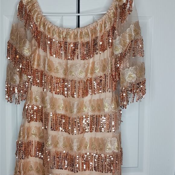 Chartou Off The Shoulder Fringed Sequin Party Style Dress NWT - Picture 5 of 11